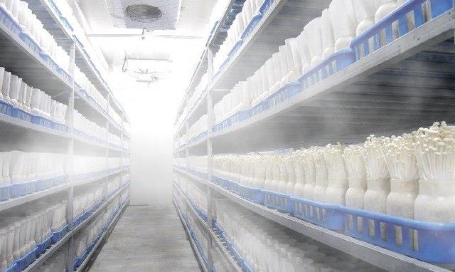 廊坊养猪场食品厂消毒设备定做养殖场防疫消毒专用设备米孚食品厂大板山丹图片