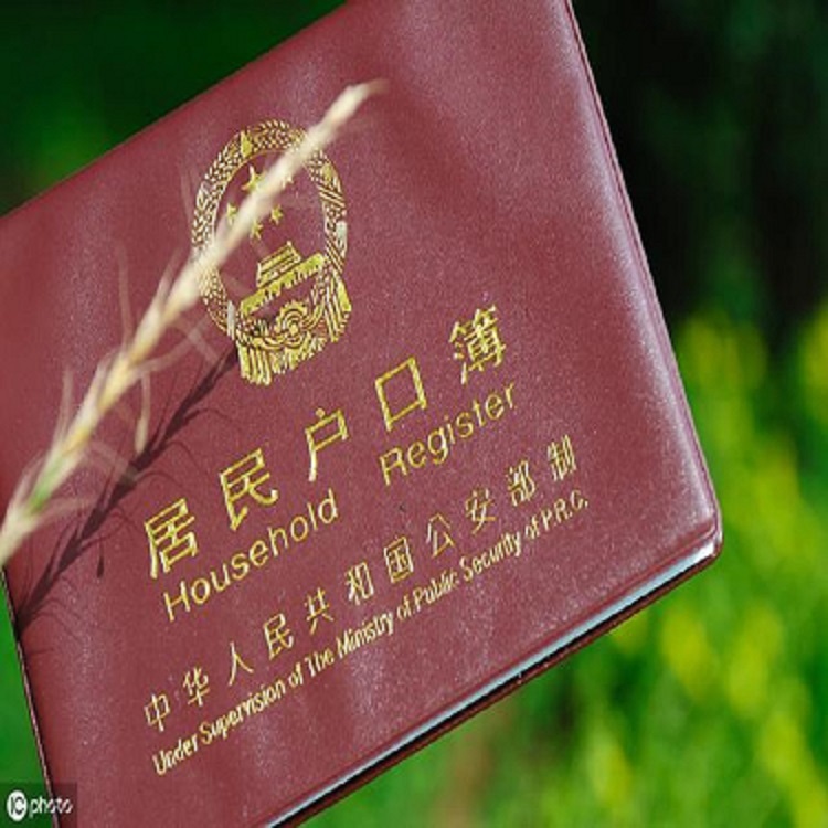 江苏落户指标性质怎么填