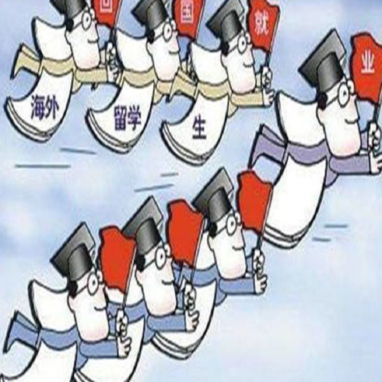 口开发区留学海归总结