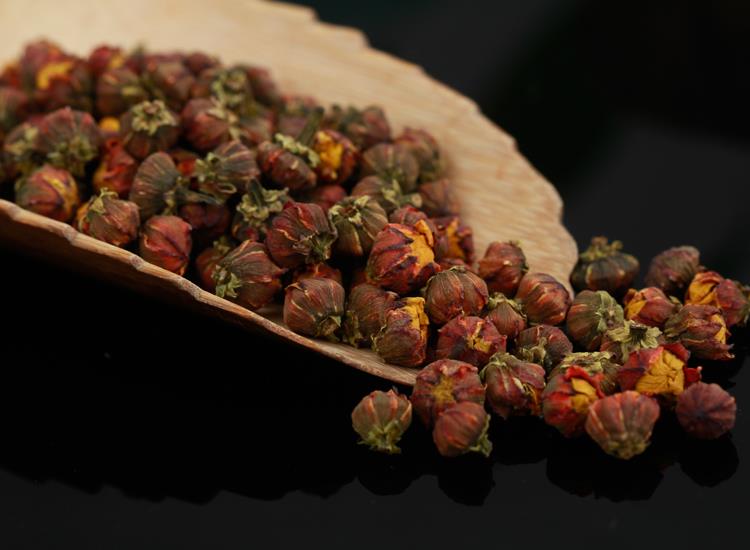 胎菊-胎菊泡不开