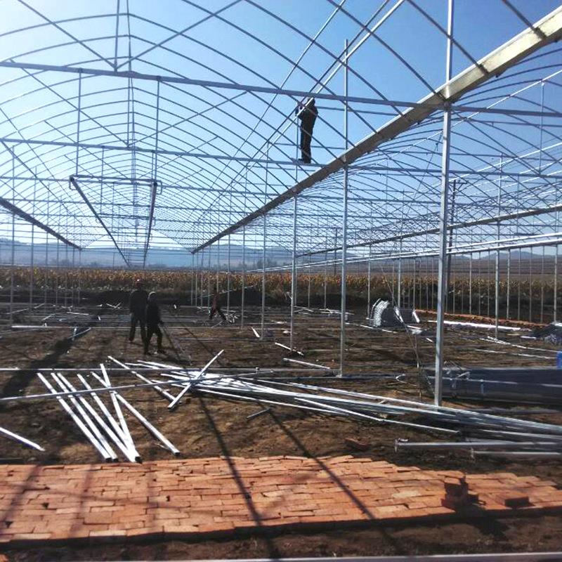 安康蔬菜大棚采购 美观实用 四季丰温室工程科技