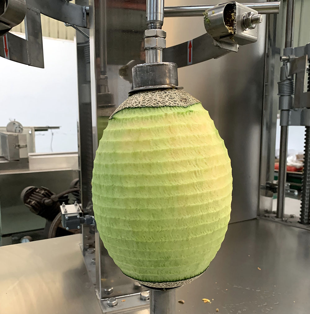 多功能南瓜去皮机报价-瓜果削皮机